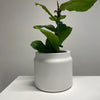 Etta Planter | Large