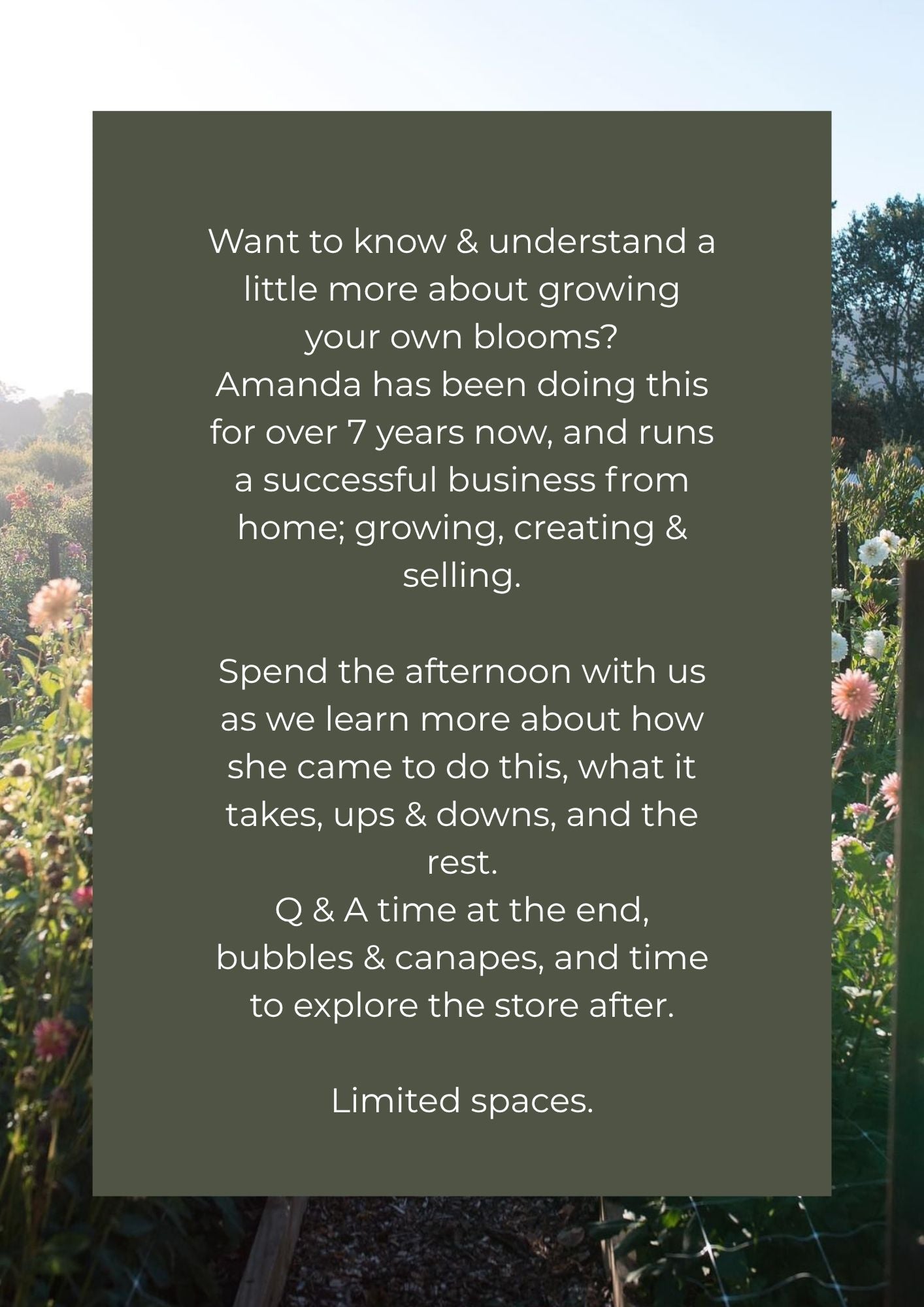 SPECIAL EVENT | An afternoon with Flour & Bloom