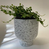 Grace Planter | Terrazzo | Small