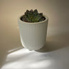 Cora Planter | White | Small