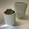 Cora Planter | White | Small