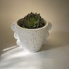 Sasha Planter | Medium