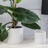 Macy Planter | Light Grey | Medium