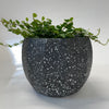 Hera Planter | Dark Grey | Small