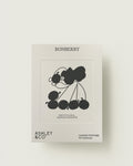 Carded Perfume | Bonberry