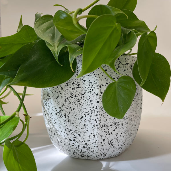 Hera Planter | White | Medium