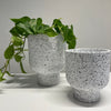 Grace Planter | Terrazzo | Large