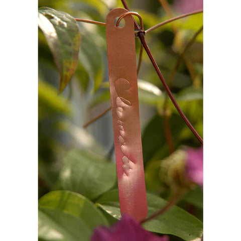 Copper Tag Plant Labels