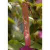 Copper Tag Plant Labels