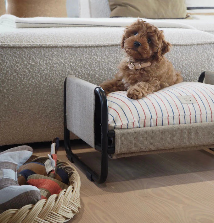 Milo Dog Bed | Medium