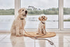 Perry Dog Leash | Caramel