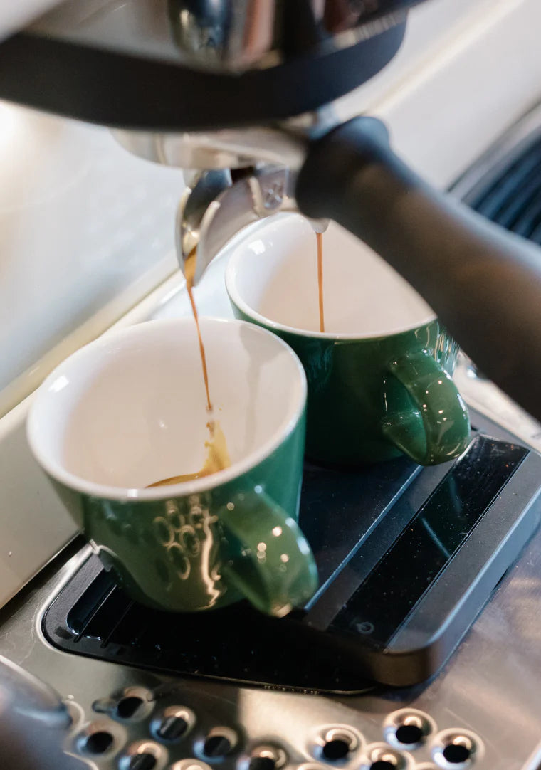 Roman Cup | Mini | Kawakawa