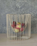 Fruit Bowl | Putty
