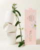 Citrus Blossom & Magnolia Mini Ceramic Candle Gift Set | Mother's Day Collection