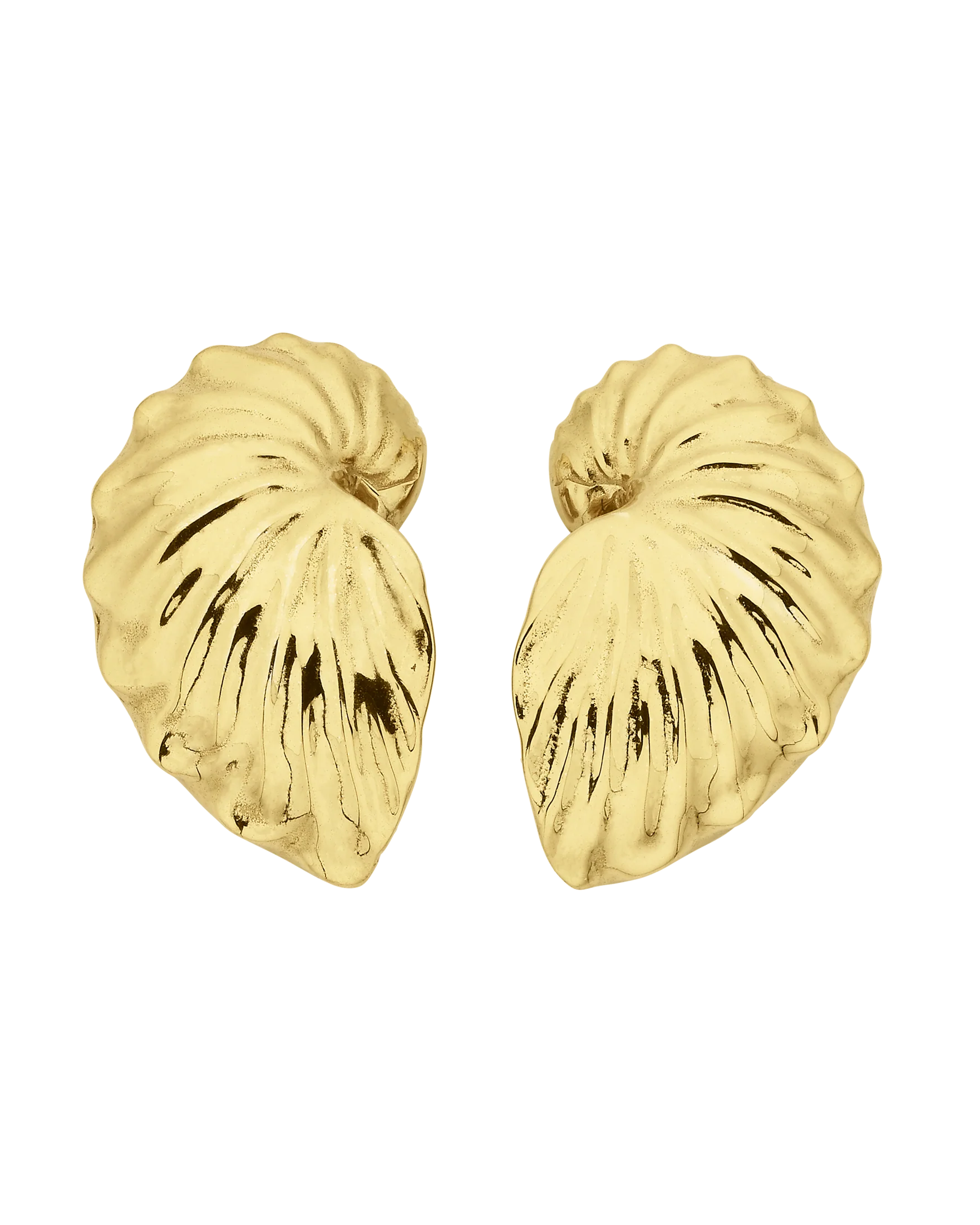 Paper Nautilus Earrings | 22k Gold Vermeil