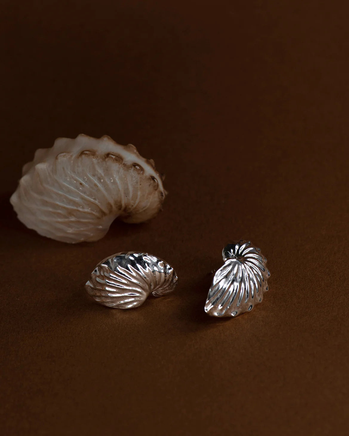 Paper Nautilus Earrings | Sterling Silver