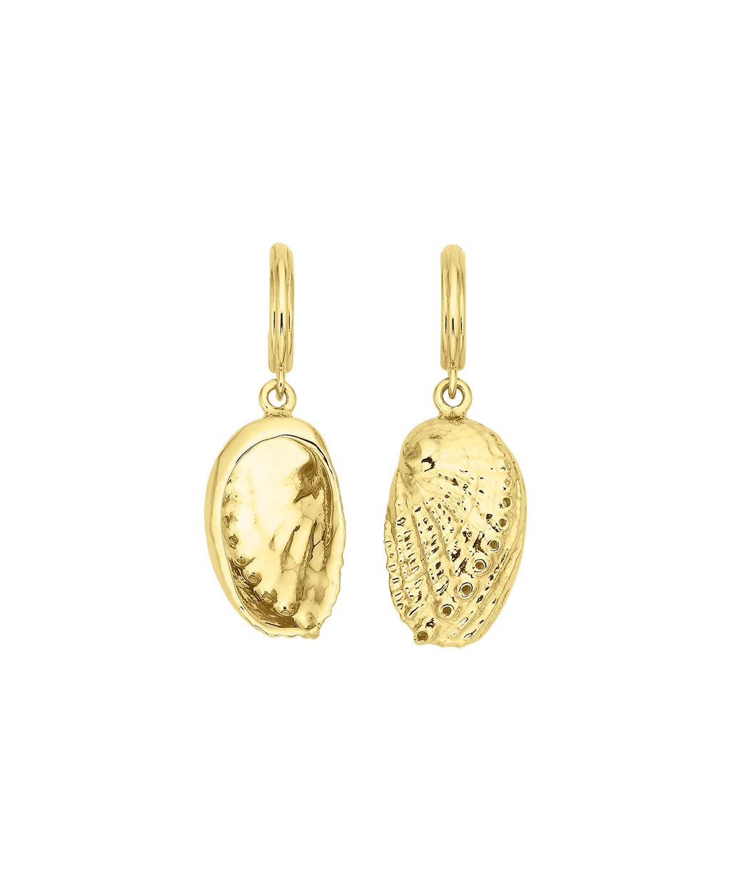 Soul Paua Earrings | 22k Gold Vermeil