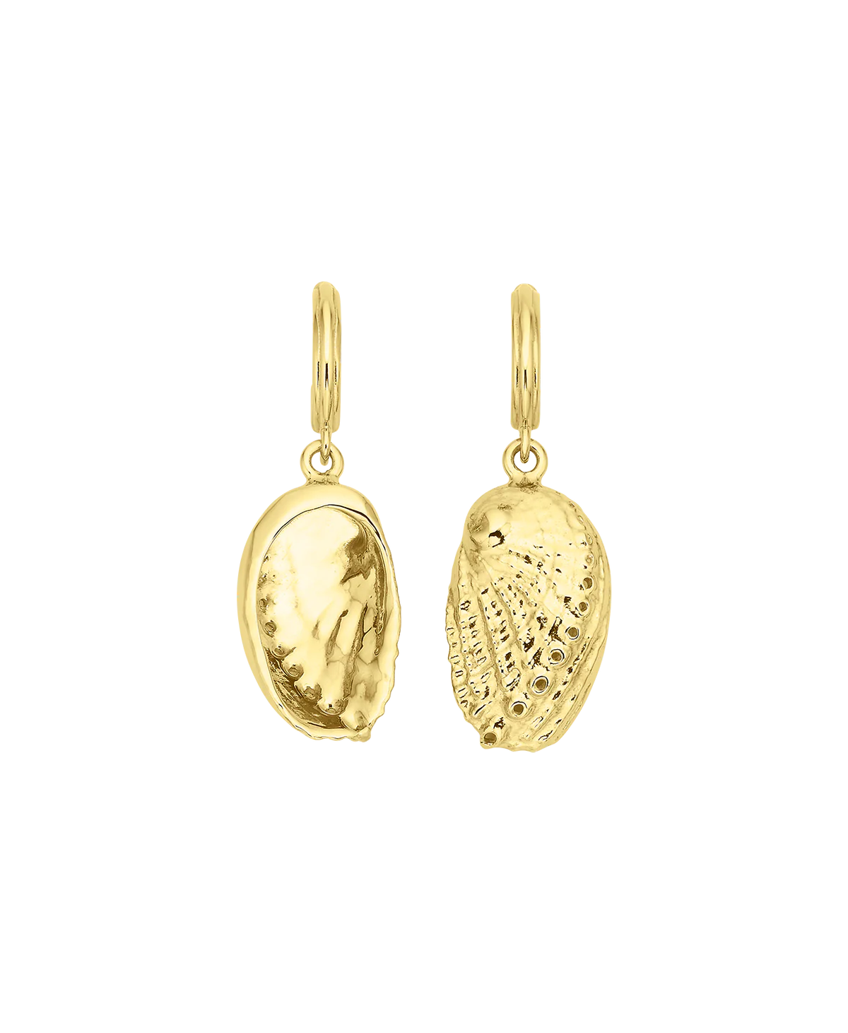 Soul Paua Earrings | 22k Gold Vermeil