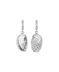 Soul Paua Earrings | 925 Sterling Silver