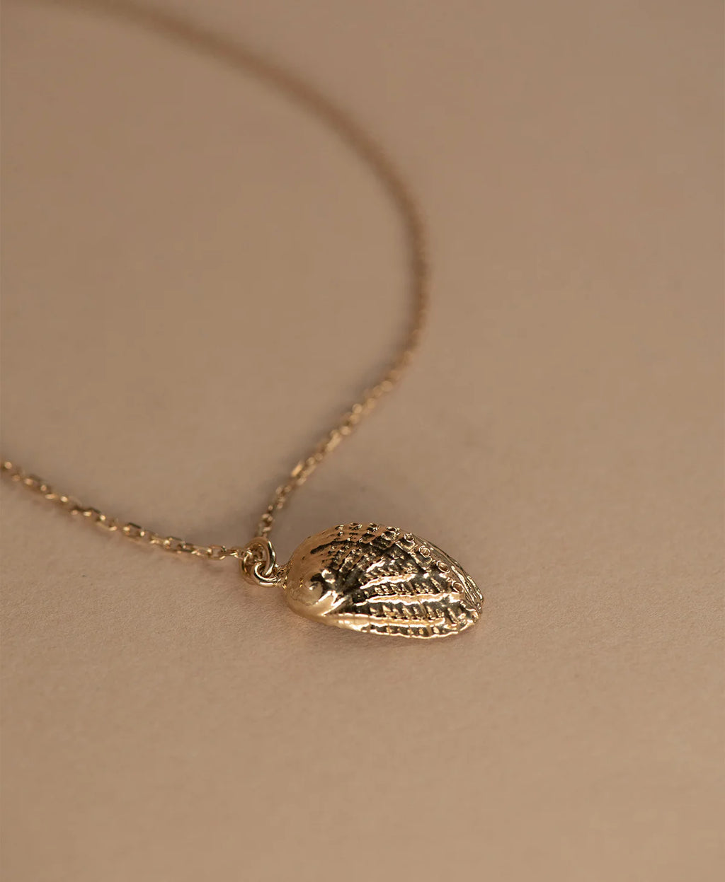 Soul Paua Necklace | 22k Gold Vermeil