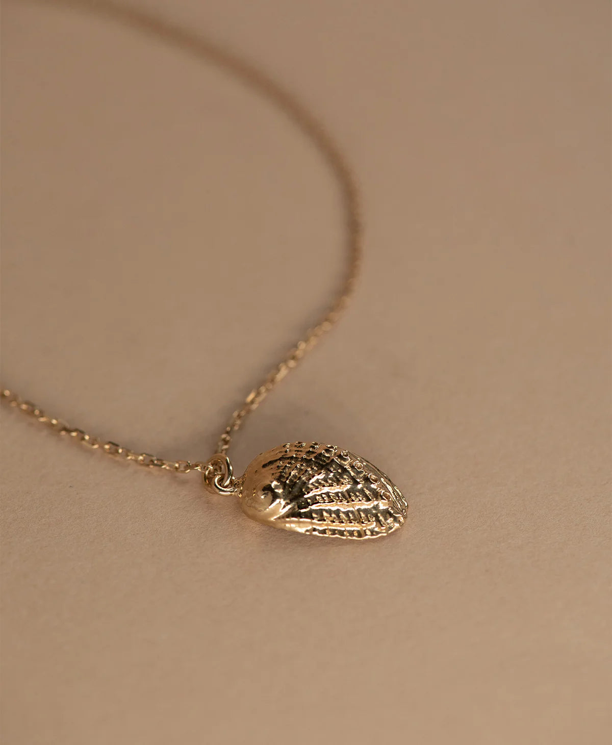 Soul Paua Necklace | 22k Gold Vermeil