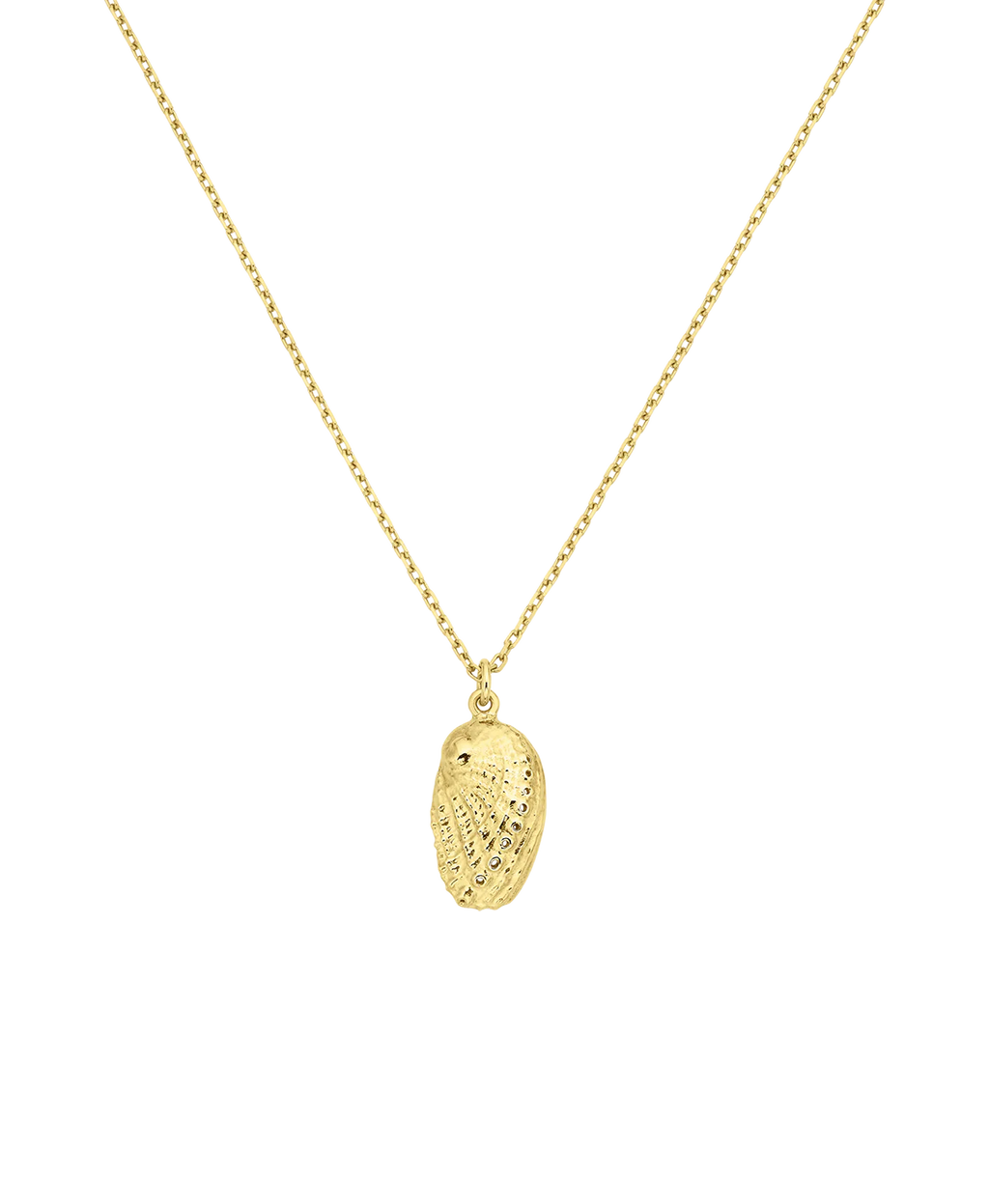 Soul Paua Necklace | 22k Gold Vermeil