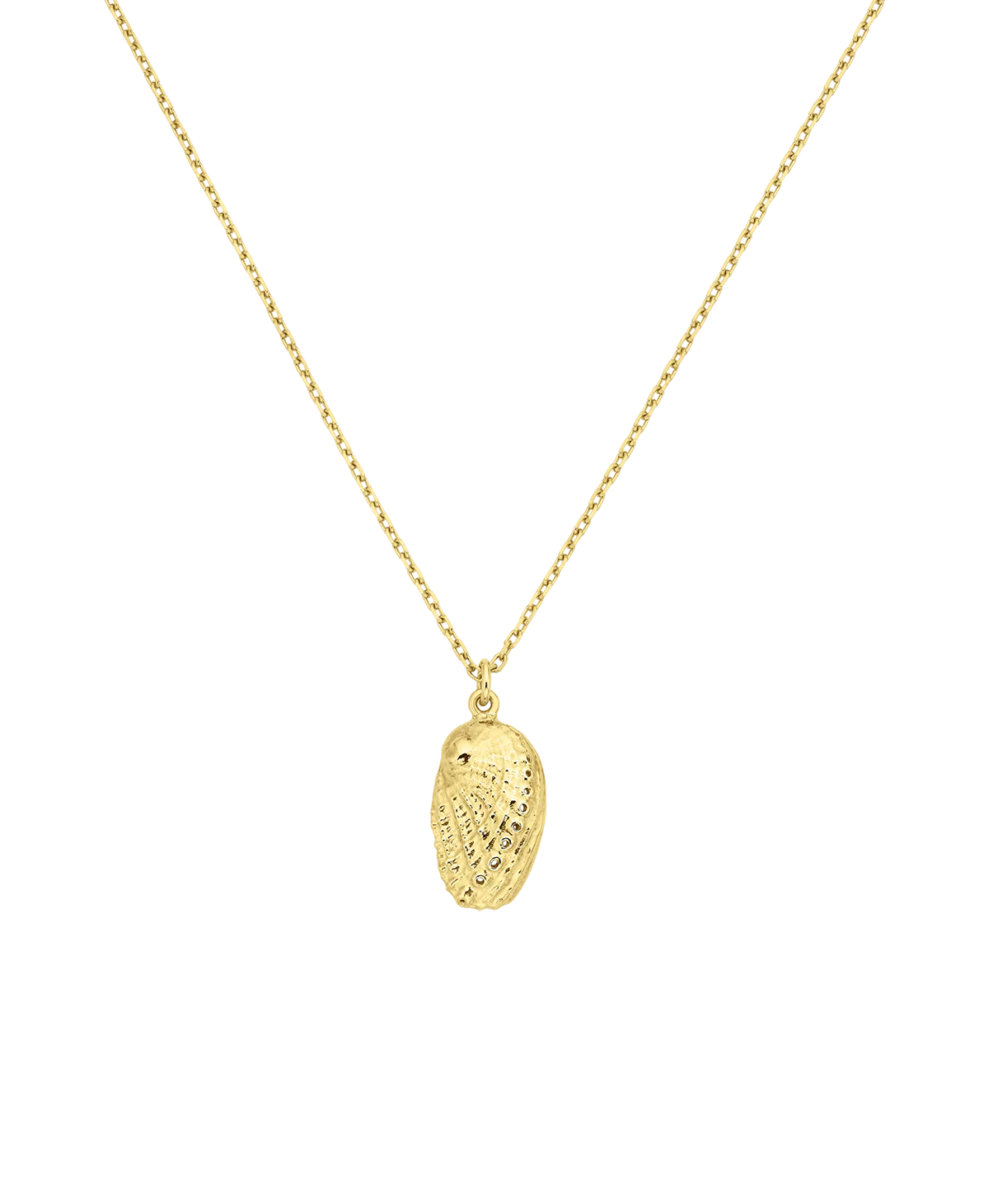 Soul Paua Necklace | 22k Gold Vermeil