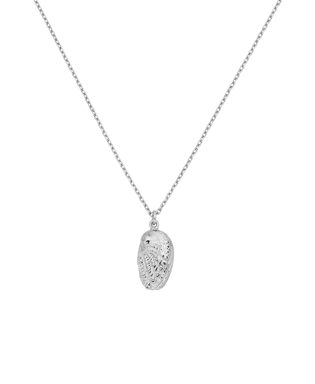 Soul Paua Necklace | 925 Sterling Silver