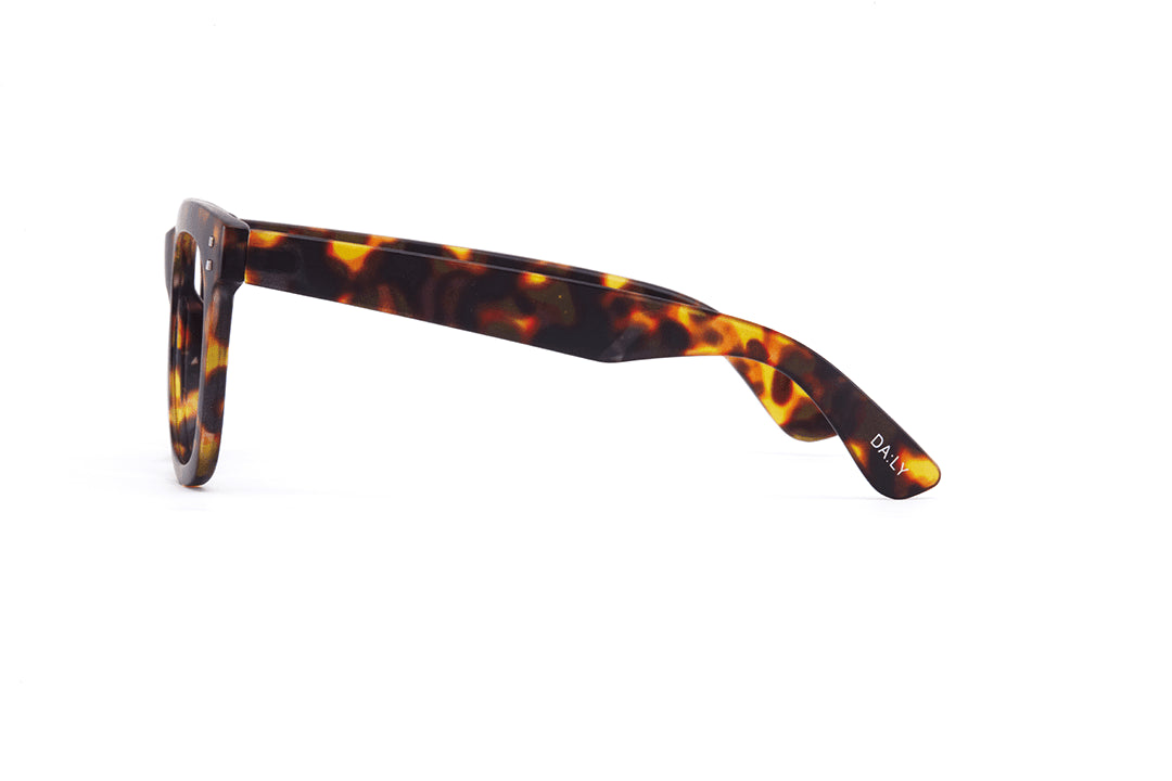 11am | Brown Tort | Reading Glasses