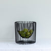 Fruit Bowl | Black
